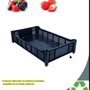 Caja plastica frutillera 50x30x11 negra